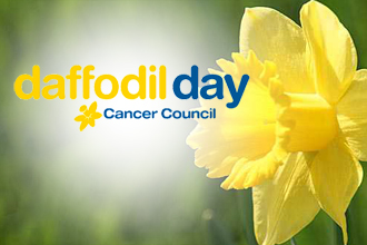 daffodil day at The Vines Early Learning Centre